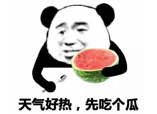回复吃瓜表情包